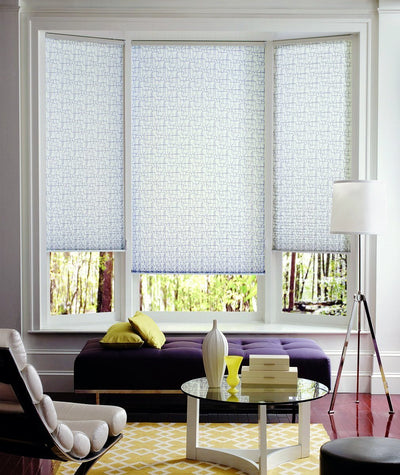 Hunter Douglas Window Treatments Pleated Shades Room