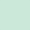 Benjamin Moore's paint color 2036-60 Surf Green available at Standard Paint & Flooring.