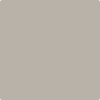 Benjamin Moore's paint color 2108-50 Silver Fox available at Standard Paint & Flooring.