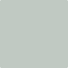 Benjamin Moore's paint color 2139-50 Silver Marlin available at Standard Paint & Flooring.