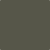Benjamin Moore's paint color 2140-20 Tuscany Green available at Standard Paint & Flooring.