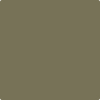 Benjamin Moore's paint color 2142-30 Mountain Moss available at Standard Paint & Flooring.