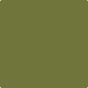 Benjamin Moore's paint color 2145-10 Avocado available at Standard Paint & Flooring.