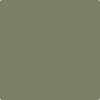 Benjamin Moore's Paint Color HC-122 Great Barrington Green available at Standard Paint & Flooring