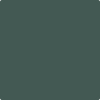 Benjamin Moore's Paint Color HC-134 Tarrytowne Green available at Standard Paint & Flooring