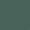 Benjamin Moore's Paint Color HC-135 Lafayette Green available at Standard Paint & Flooring