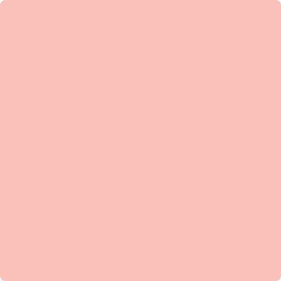 Benjamin Moore's paint color 002 Newborn Baby