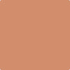 Benjamin Moore's paint color 055 Pumpkin Patch