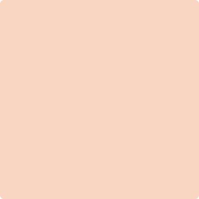 Benjamin Moore's paint color 058 Pumpkin Mousse