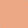 Benjamin Moore's paint color 068 Succulent Peach