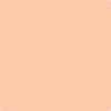 Benjamin Moore's paint color 088 Summer Peach