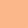 Benjamin Moore's paint color 089 Tooty Fruity