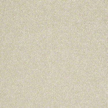 Enjoy The Moment 1 12 Residential Carpet