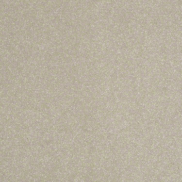 Enjoy The Moment 1 12 Residential Carpet