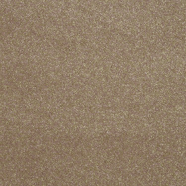 Enjoy The Moment 1 12 Residential Carpet