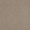 Enjoy The Moment 1 12 Residential Carpet