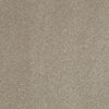 Enjoy The Moment 1 12 Residential Carpet