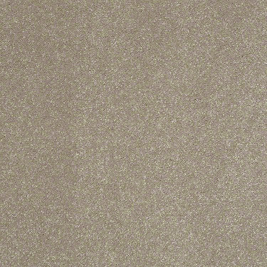 Enjoy The Moment 1 12 Residential Carpet