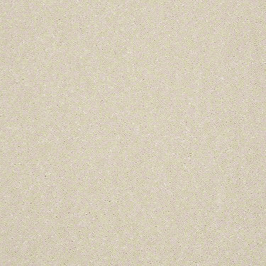 Enjoy The Moment 1 12 Residential Carpet