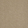 Enjoy The Moment 1 12 Residential Carpet