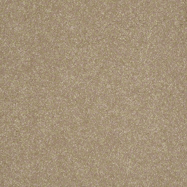 Enjoy The Moment 1 12 Residential Carpet