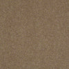 Enjoy The Moment 1 12 Residential Carpet