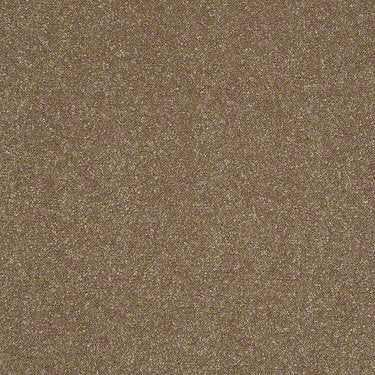 Enjoy The Moment 1 12 Residential Carpet