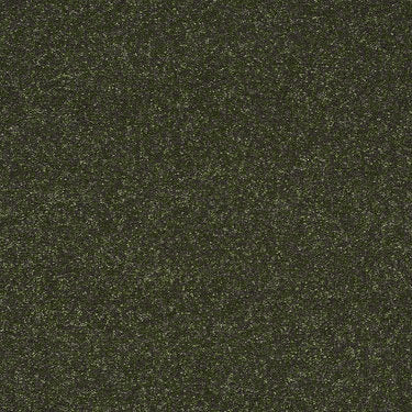 Enjoy The Moment 1 12 Residential Carpet