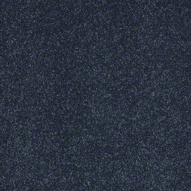 Enjoy The Moment 1 12 Residential Carpet