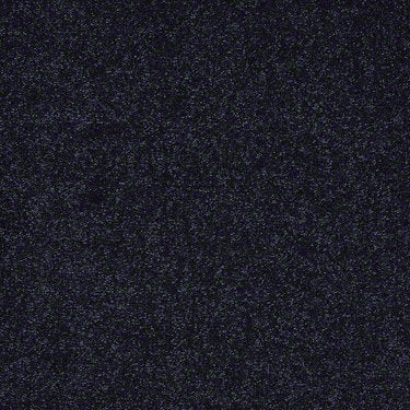 Enjoy The Moment 1 12 Residential Carpet