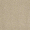 Enjoy The Moment 1 12 Residential Carpet