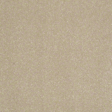 Enjoy The Moment 1 12 Residential Carpet