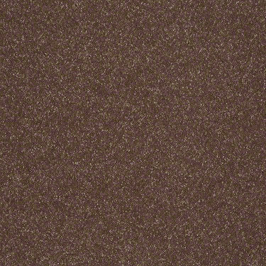 Enjoy The Moment 1 12 Residential Carpet