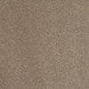 Enjoy The Moment 1 12 Residential Carpet
