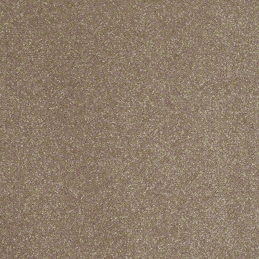 Enjoy The Moment 1 12 Residential Carpet