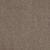 Enjoy The Moment 1 12 Residential Carpet