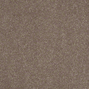 Enjoy The Moment 1 12 Residential Carpet