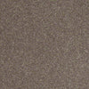 Enjoy The Moment 1 12 Residential Carpet