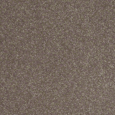 Enjoy The Moment 1 12 Residential Carpet