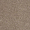 Enjoy The Moment 1 12 Residential Carpet