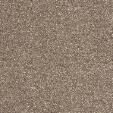 Enjoy The Moment 1 12 Residential Carpet