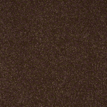 Enjoy The Moment 1 12 Residential Carpet