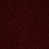 Enjoy The Moment 1 12 Residential Carpet