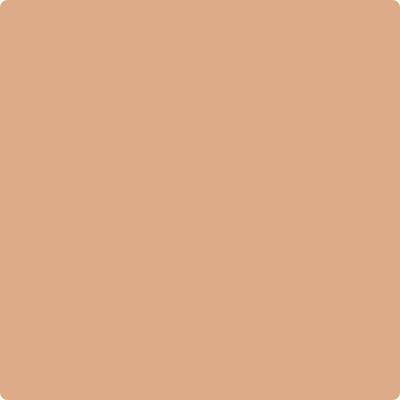 HLS4252 Tudor Tan Paint Color