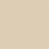 Benjamin Moore's paint color 1038 Everlasting