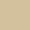 Benjamin Moore's paint color 1046 Sandy Brown