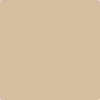Benjamin Moore's paint color 1060 Blanched Almond