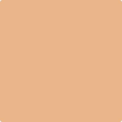 Benjamin Moore's paint color 109 Canyon Lands