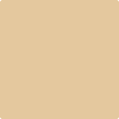 1101 Fennel Seed