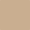 Benjamin Moore's paint color 1123 Palm Desert Sand